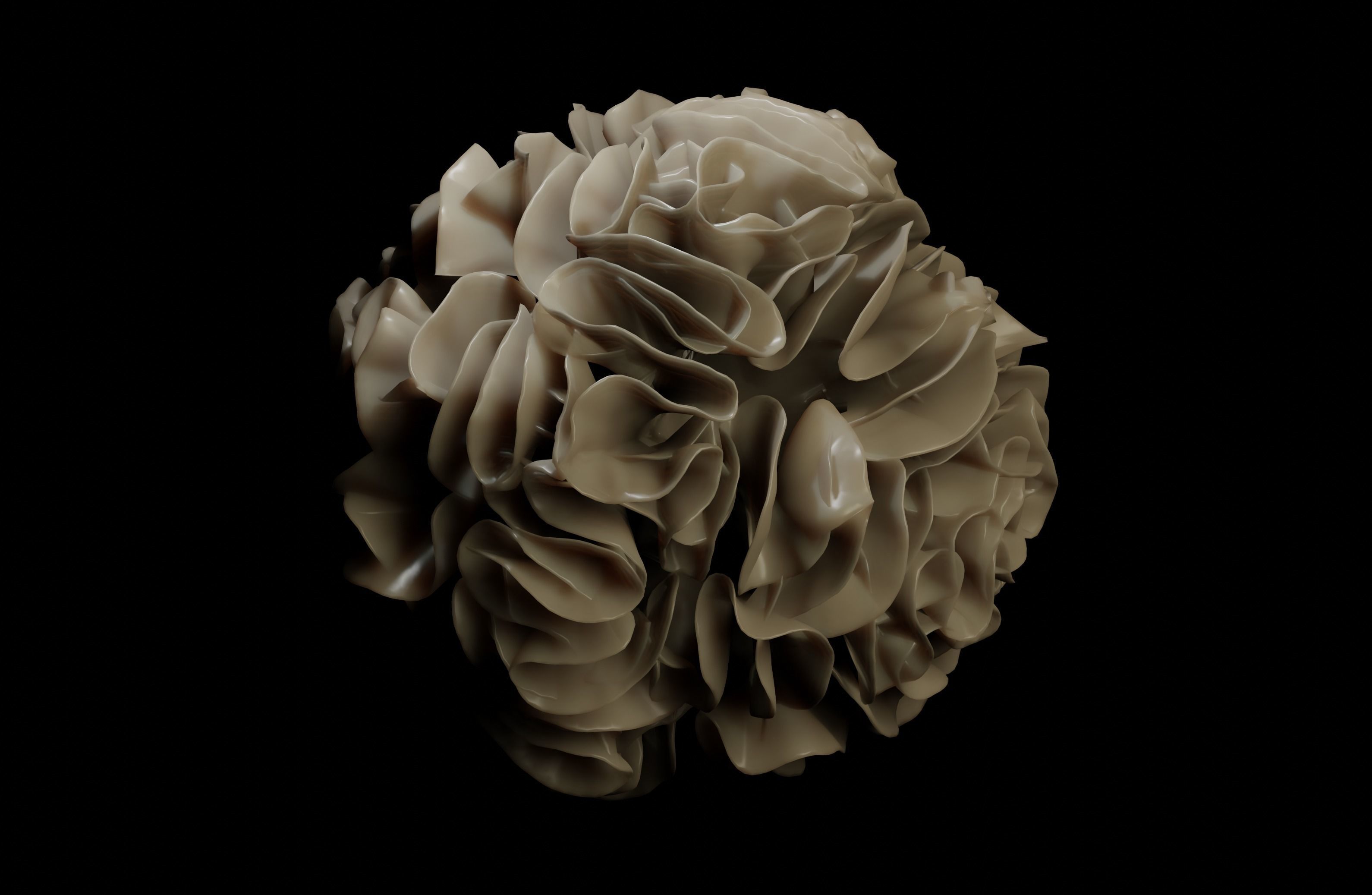 Dendridic Cell 3D model_9