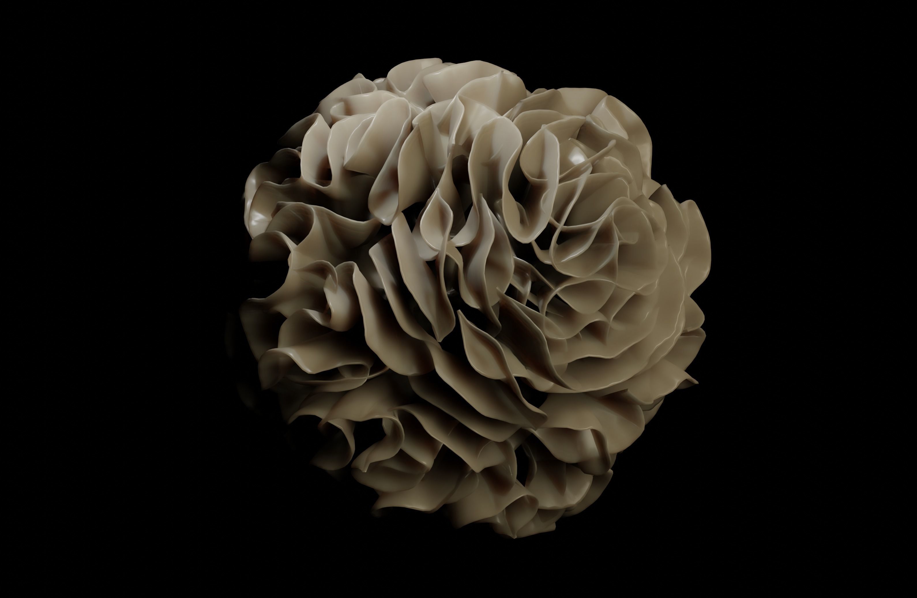 Dendridic Cell 3D model_3