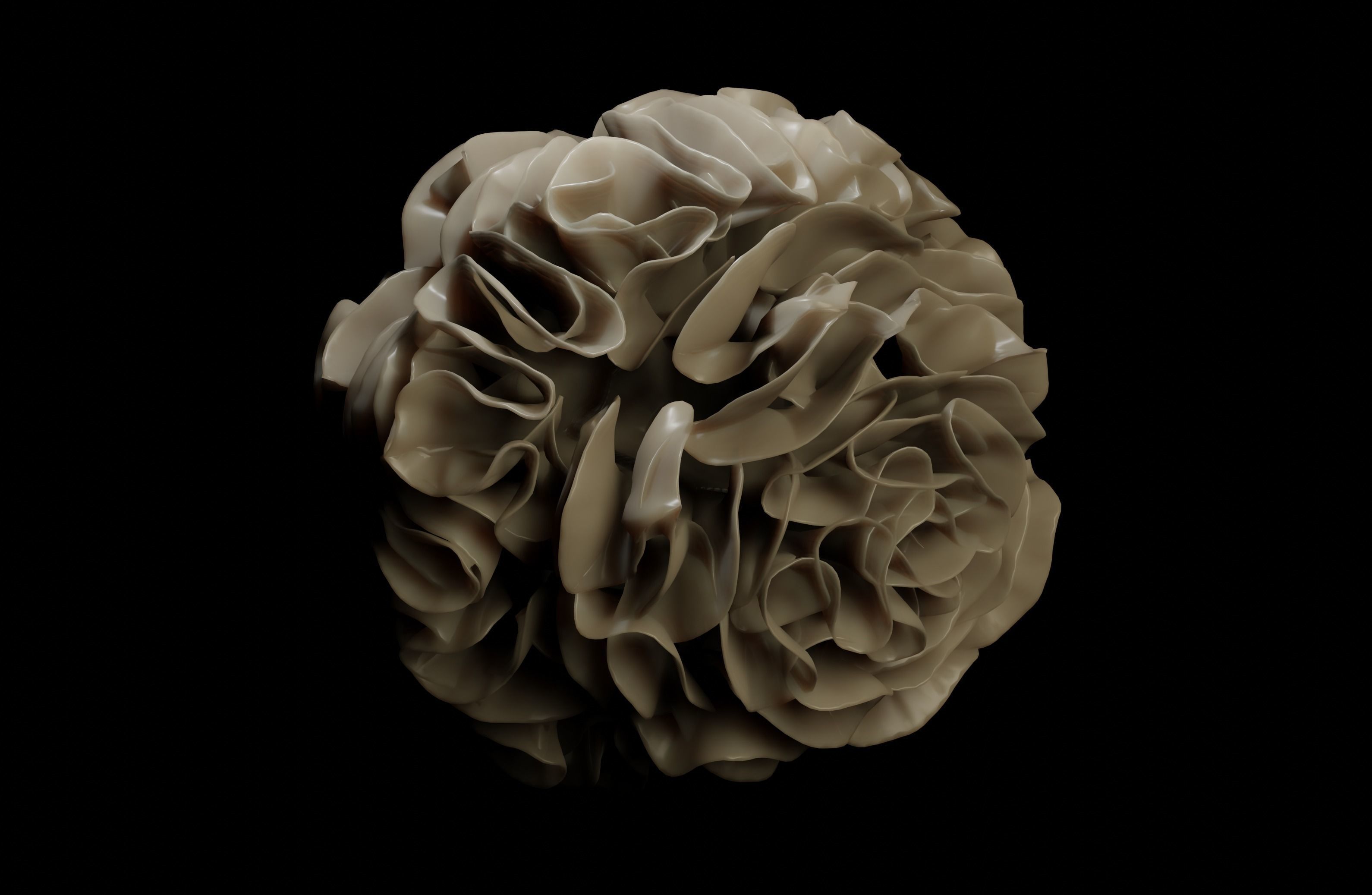 Dendridic Cell 3D model_8