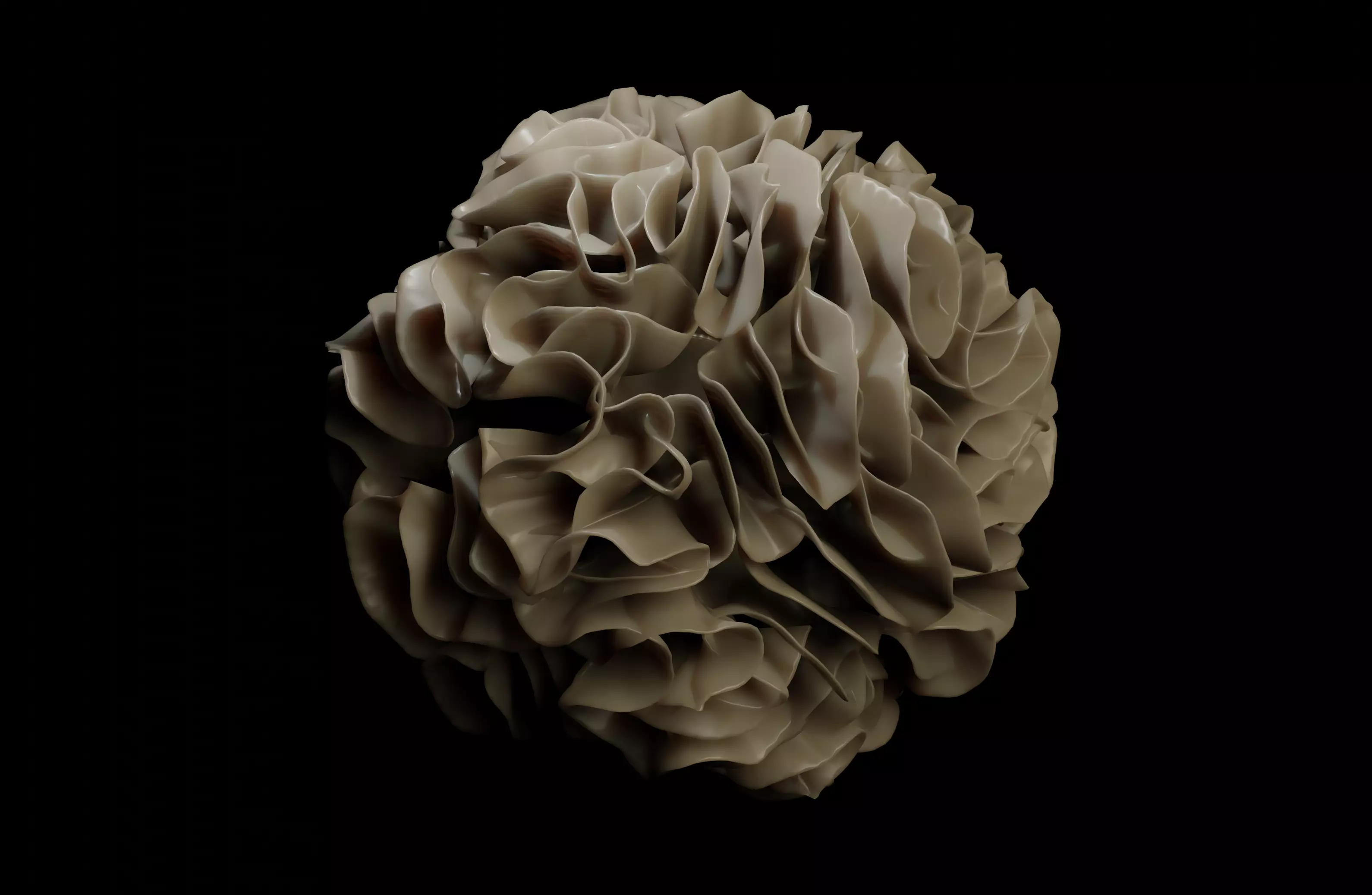 Dendridic Cell 3D model_0