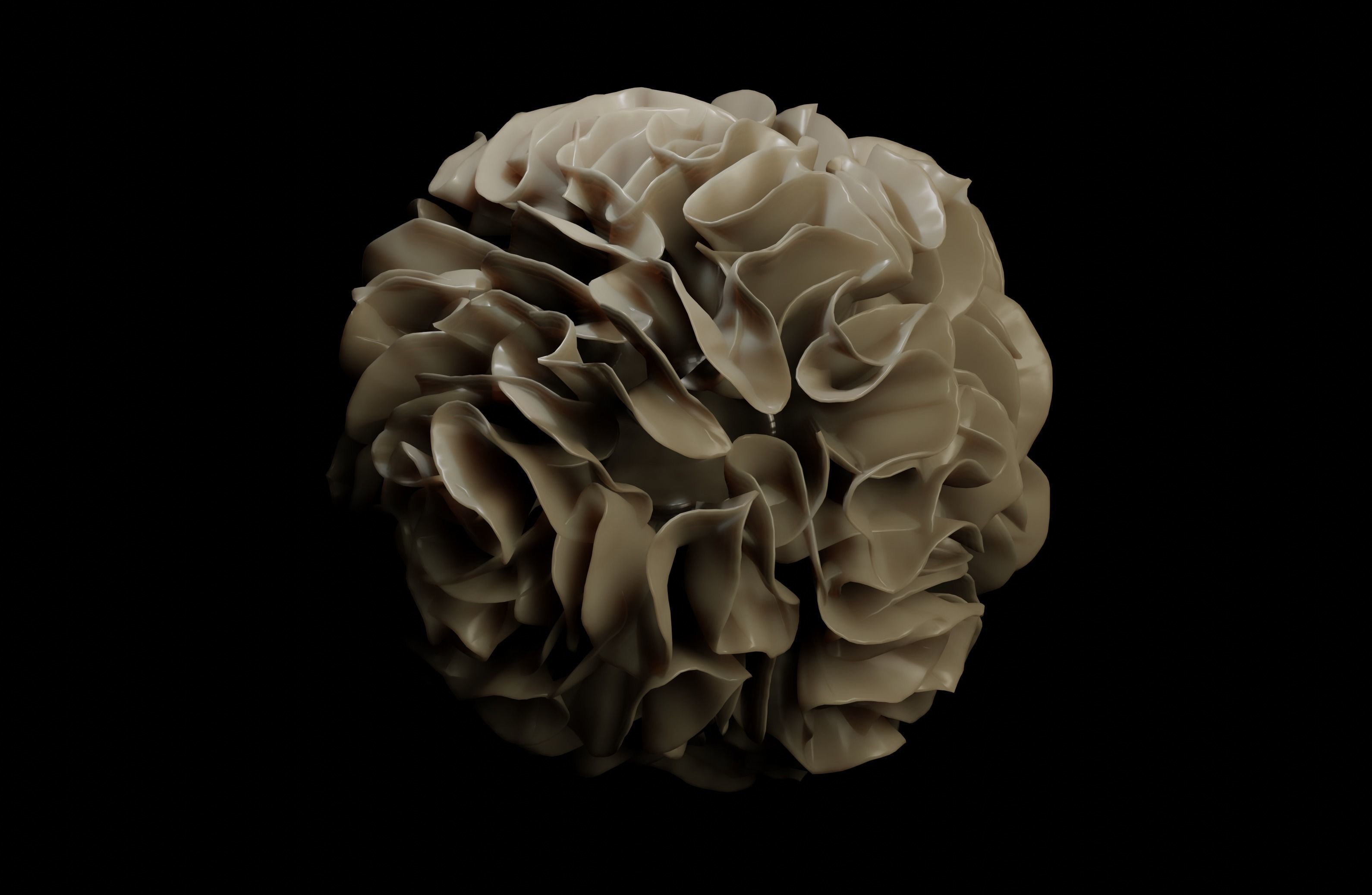 Dendridic Cell 3D model_5