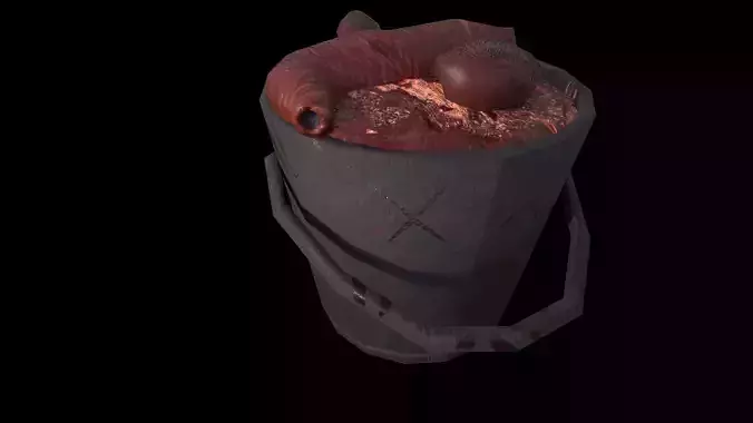 Harvester Pail 3D Model of a Bucket Brimming with Organs