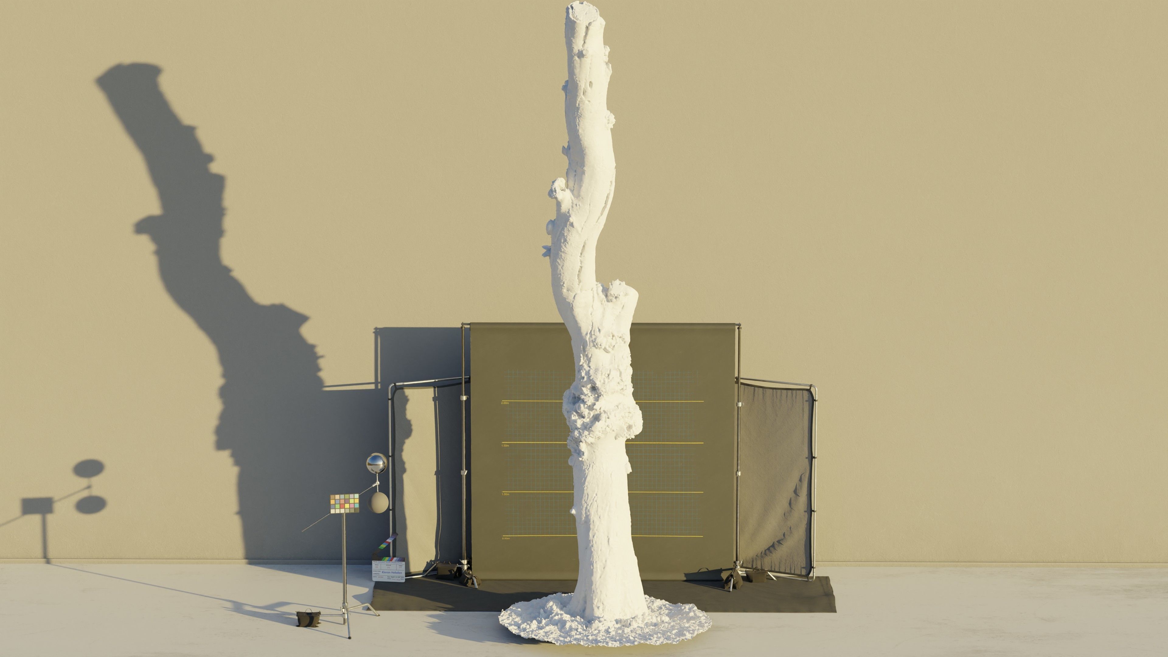 Photogrammetry Dead Tree - Tall and Gnarly Low-poly 3D model_3