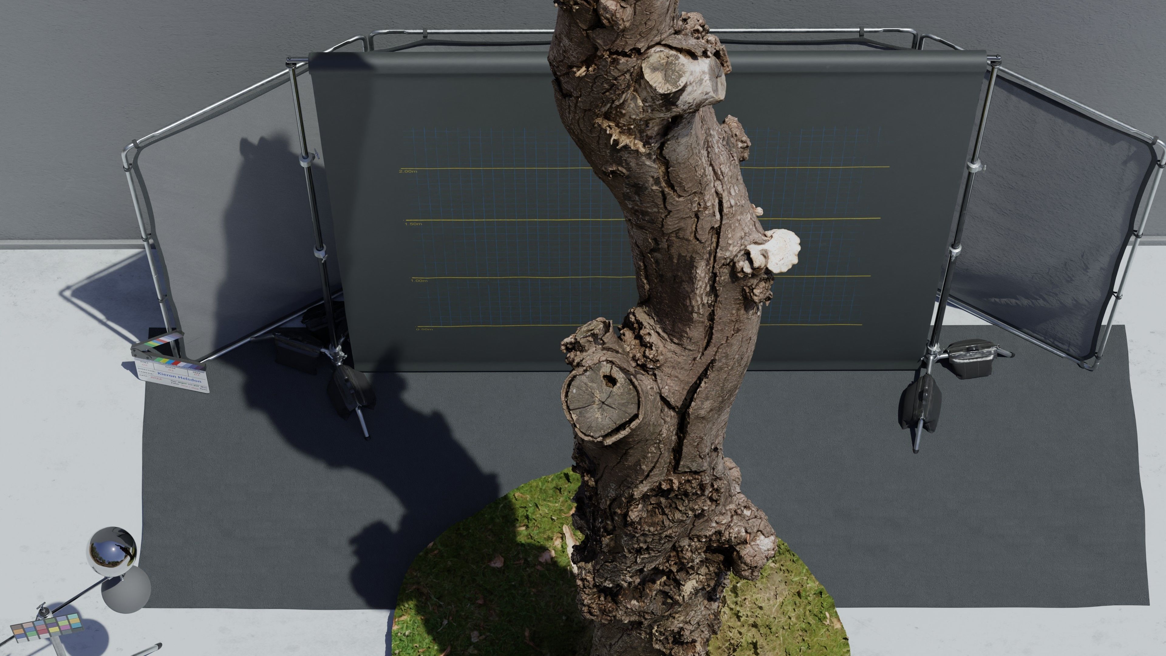 Photogrammetry Dead Tree - Tall and Gnarly Low-poly 3D model_10