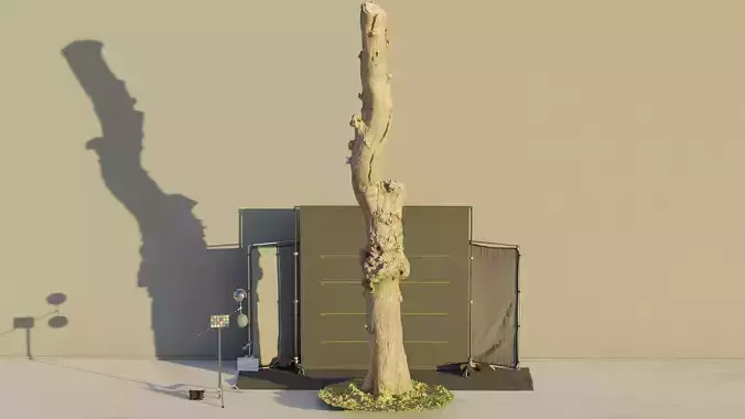Photogrammetry Dead Tree - Tall and Gnarly Low-poly 3D model