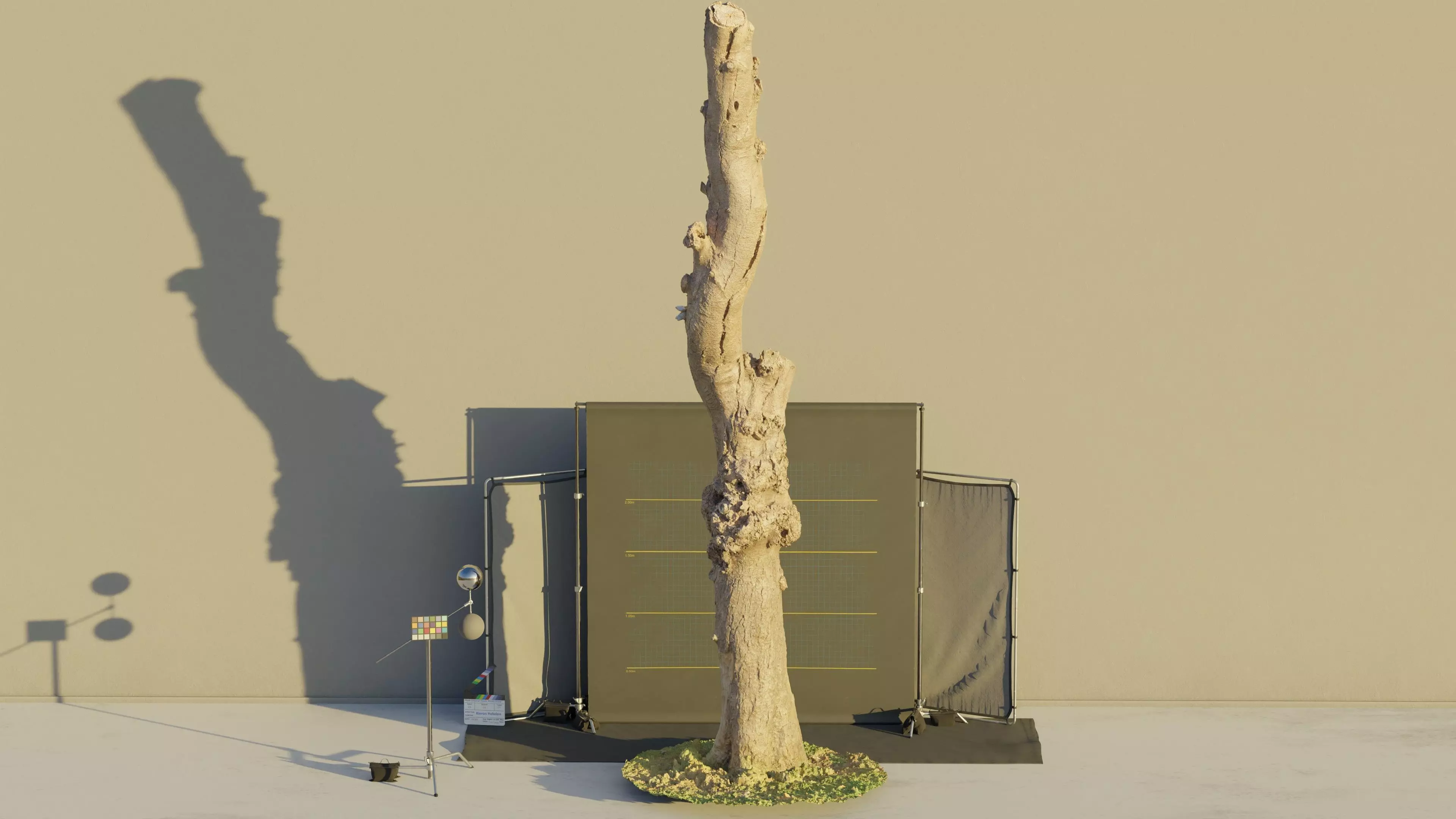 Photogrammetry Dead Tree - Tall and Gnarly Low-poly 3D model_0