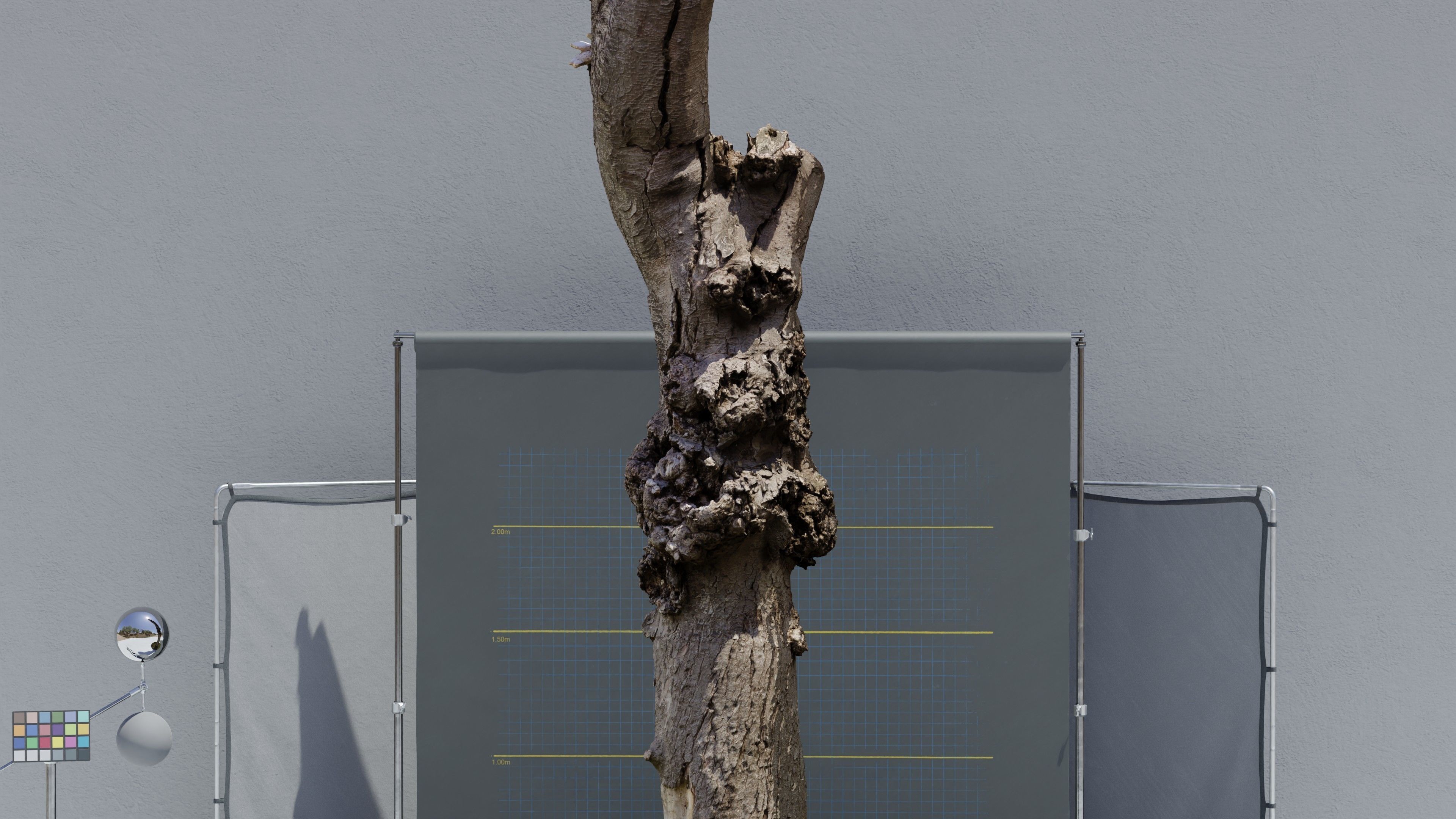 Photogrammetry Dead Tree - Tall and Gnarly Low-poly 3D model_11