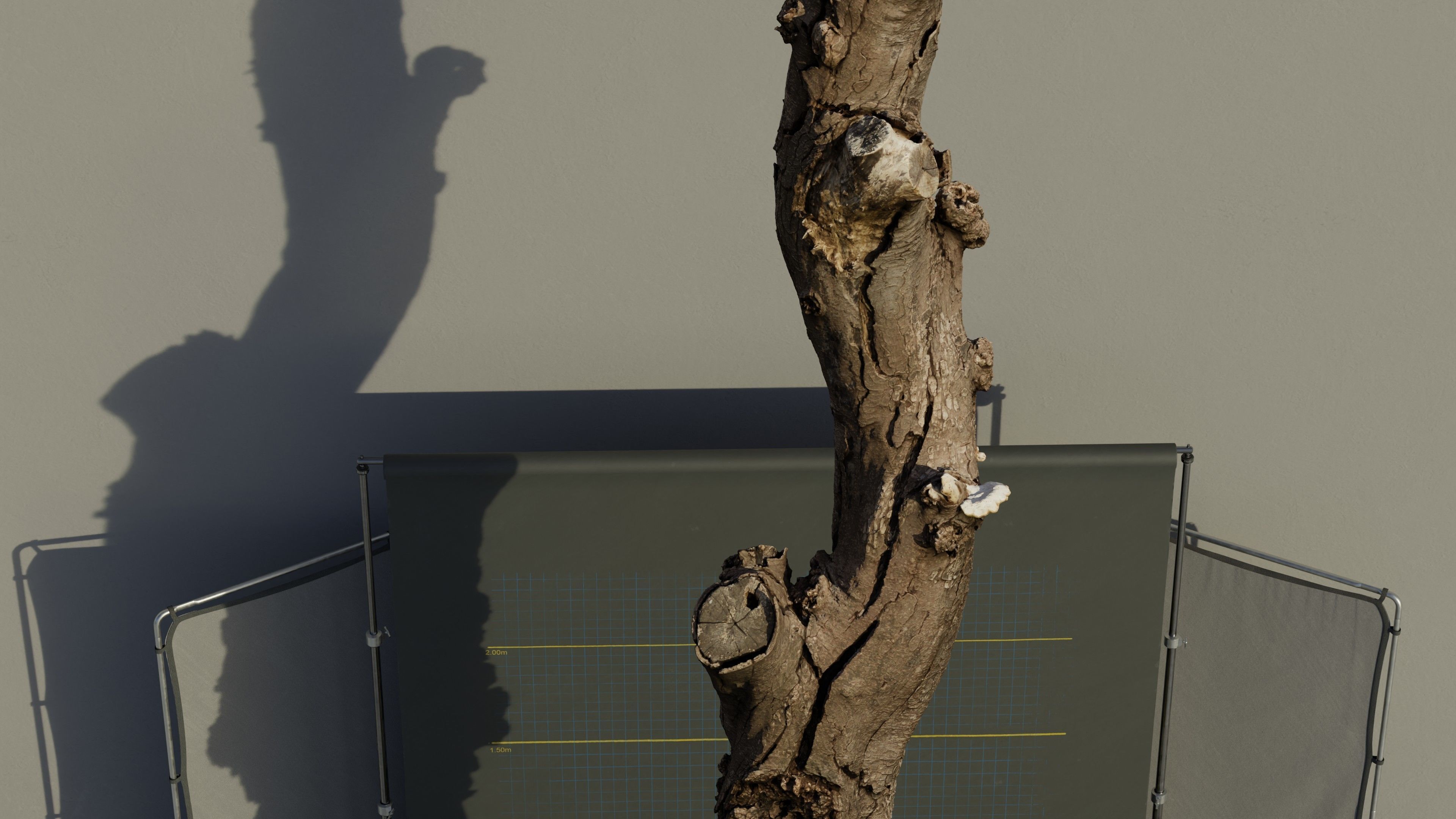 Photogrammetry Dead Tree - Tall and Gnarly Low-poly 3D model_8