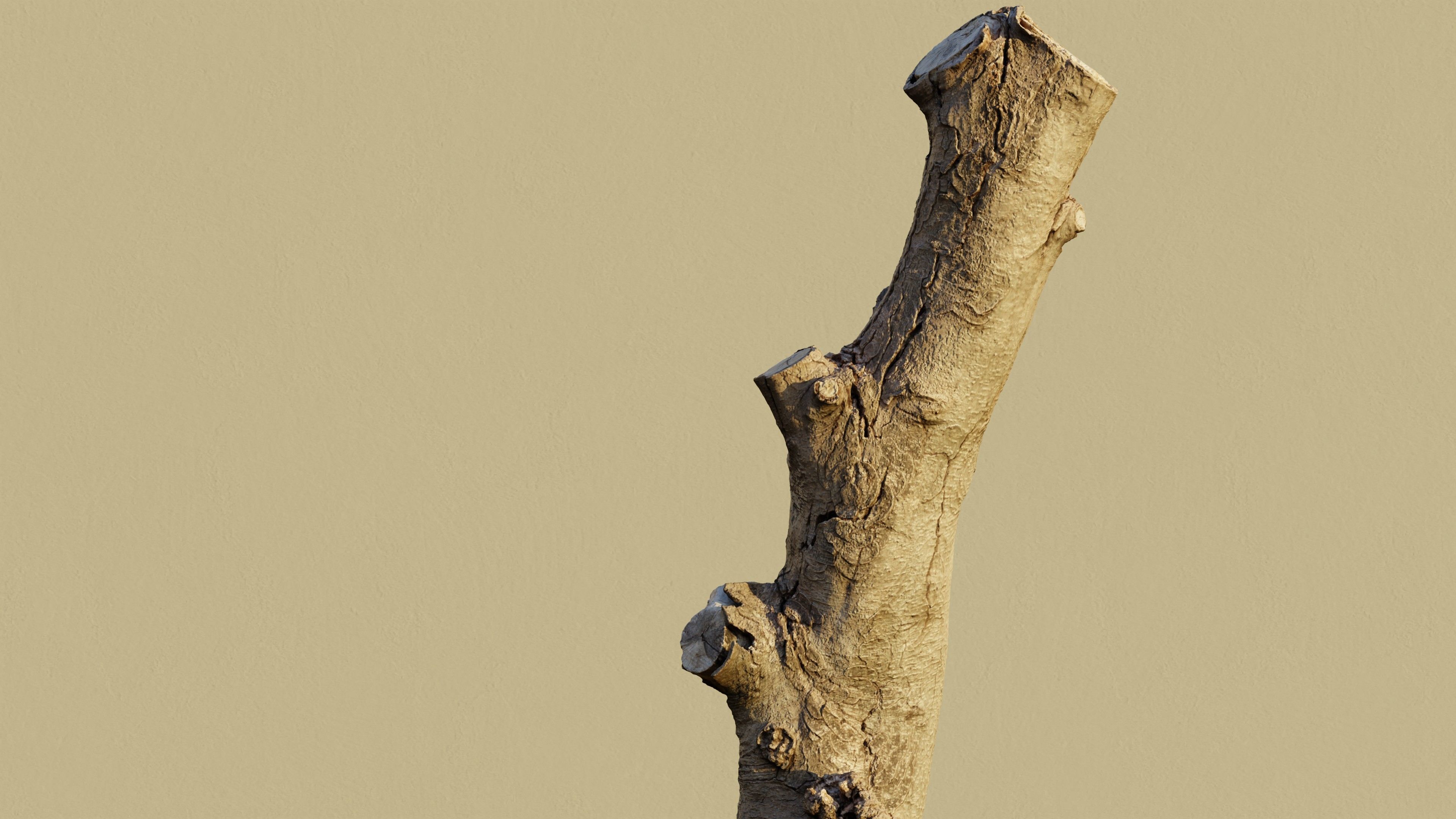 Photogrammetry Dead Tree - Tall and Gnarly Low-poly 3D model_6