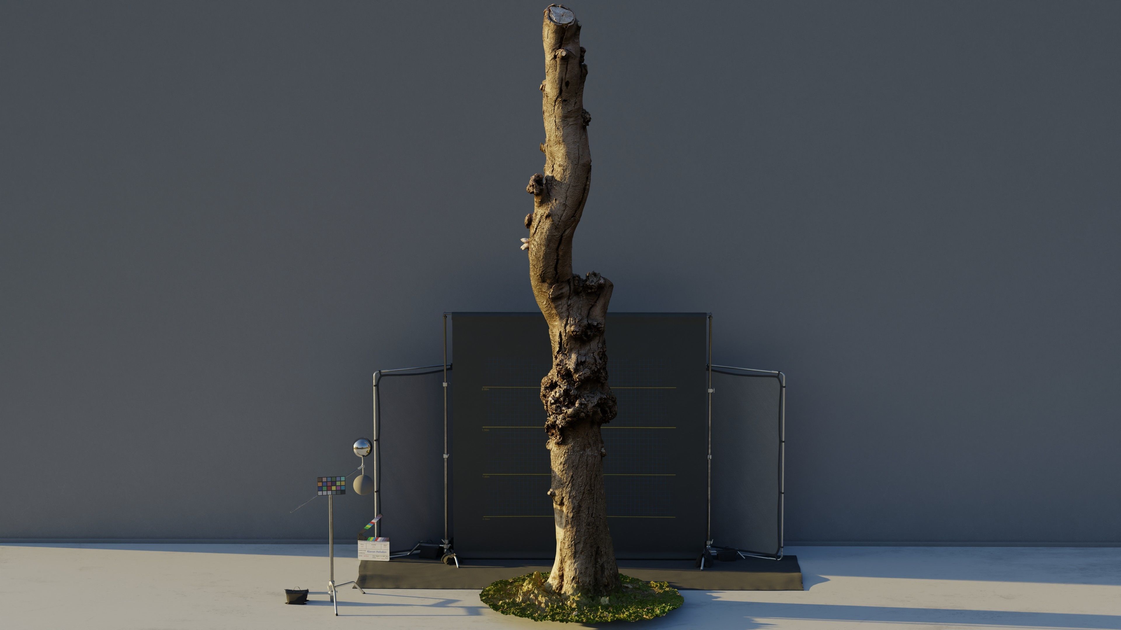Photogrammetry Dead Tree - Tall and Gnarly Low-poly 3D model_5
