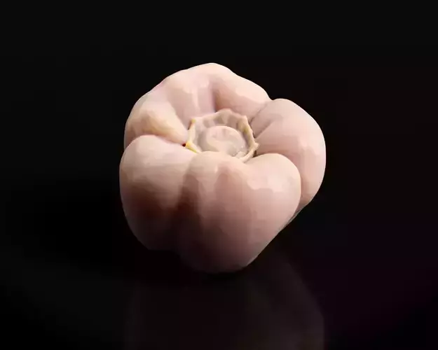 Pepper - scan 3D print model