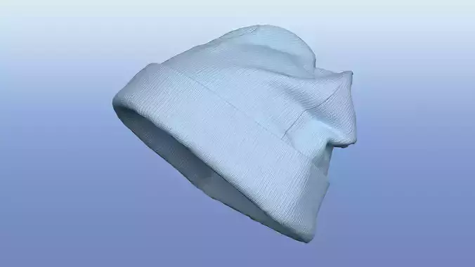 Kint Rib Hat 3D model