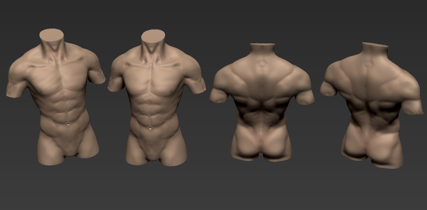 Human Anatomy Male Torso Free 3D model_7