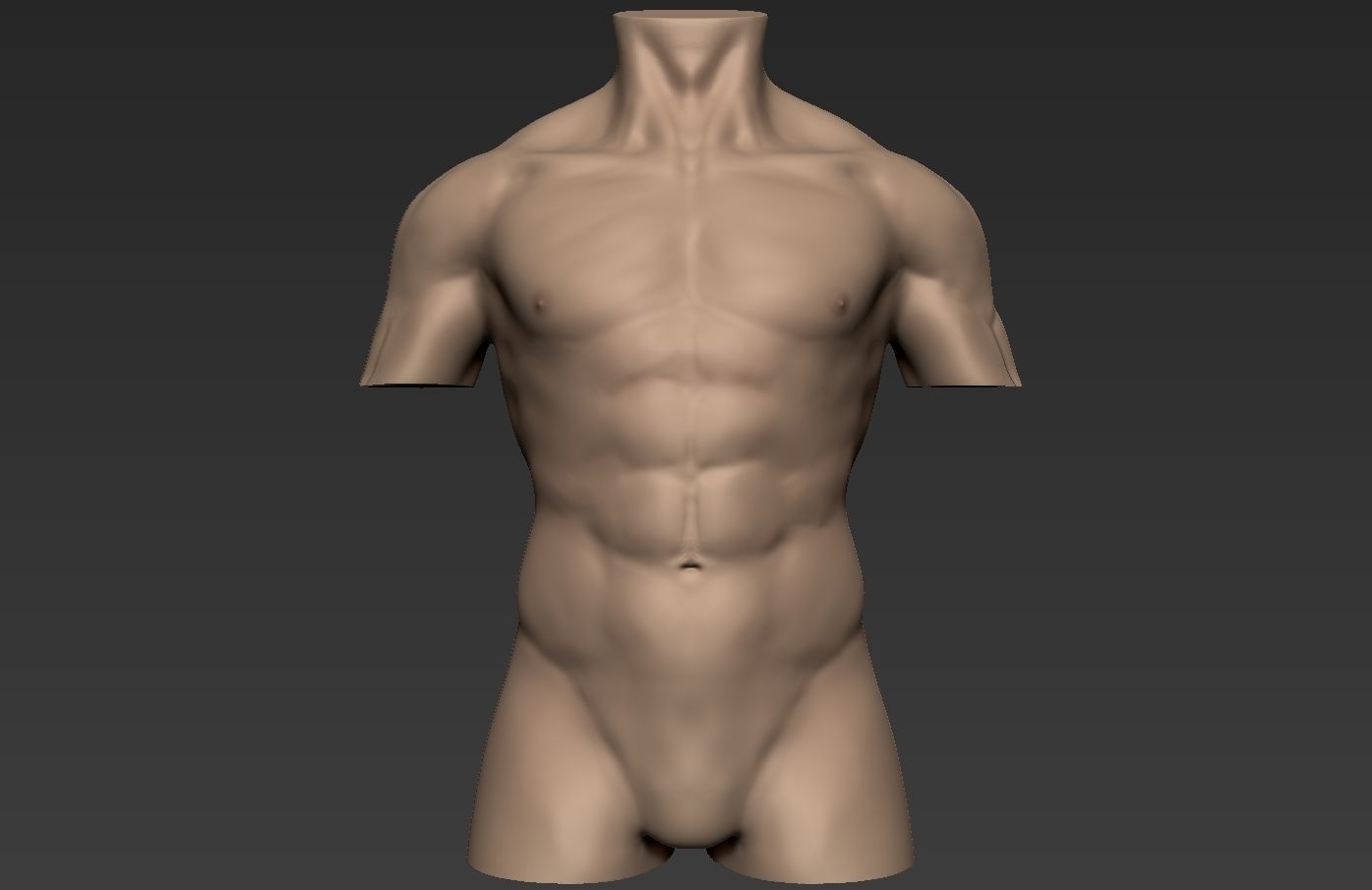 Human Anatomy Male Torso Free 3D model_1