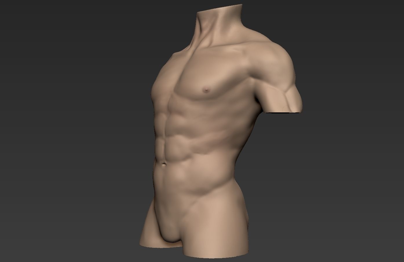 Human Anatomy Male Torso Free 3D model_6