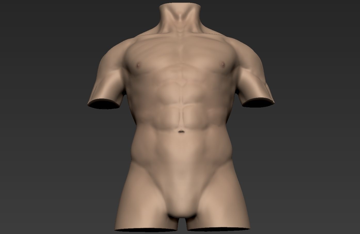 Human Anatomy Male Torso Free 3D model_14