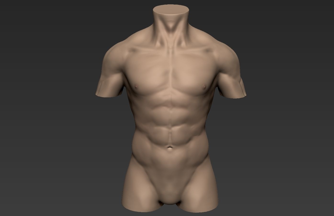 Human Anatomy Male Torso Free 3D model_11