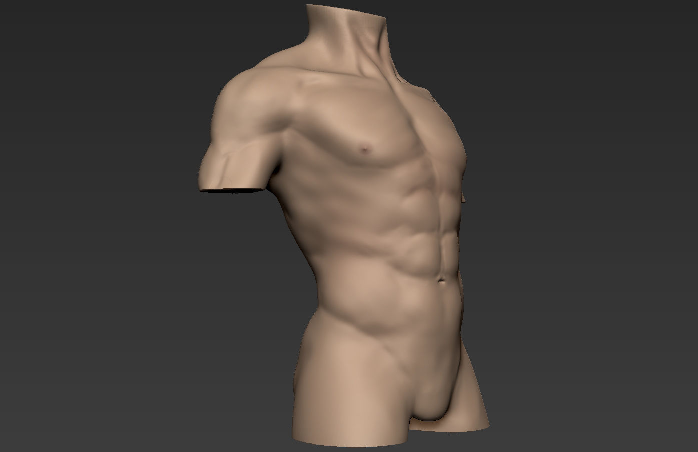 Human Anatomy Male Torso Free 3D model_13
