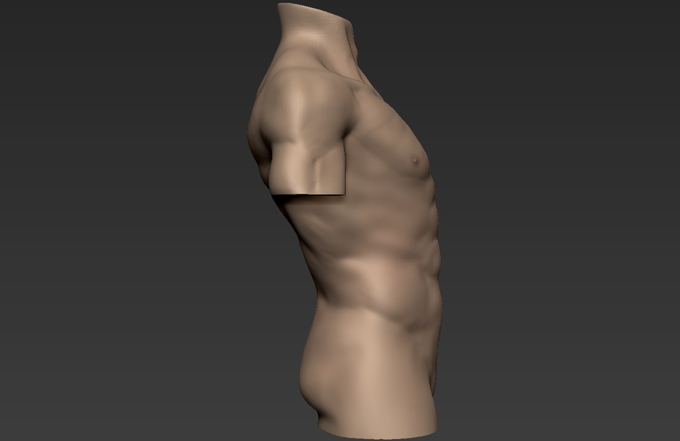 Human Anatomy Male Torso Free 3D model_5