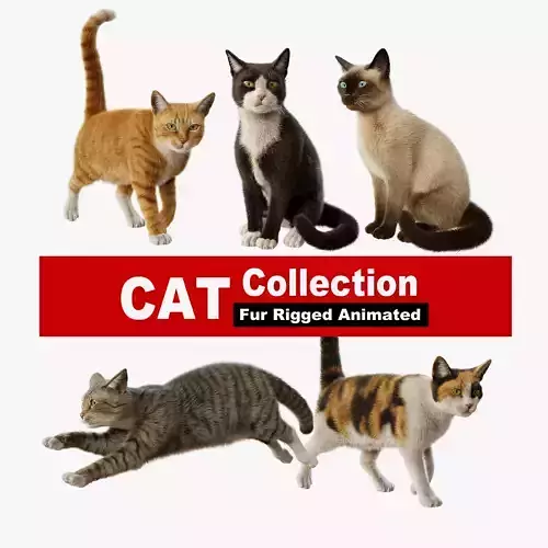 Cat Rigged Animated Collection 3D model