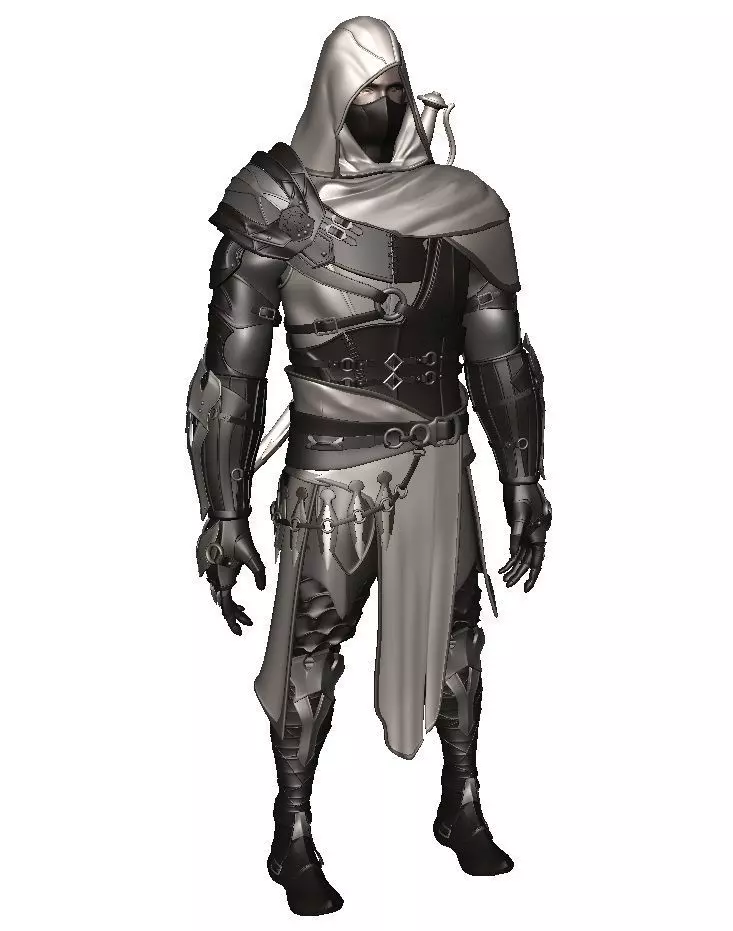 Man Assassin Fighter 3D model_0