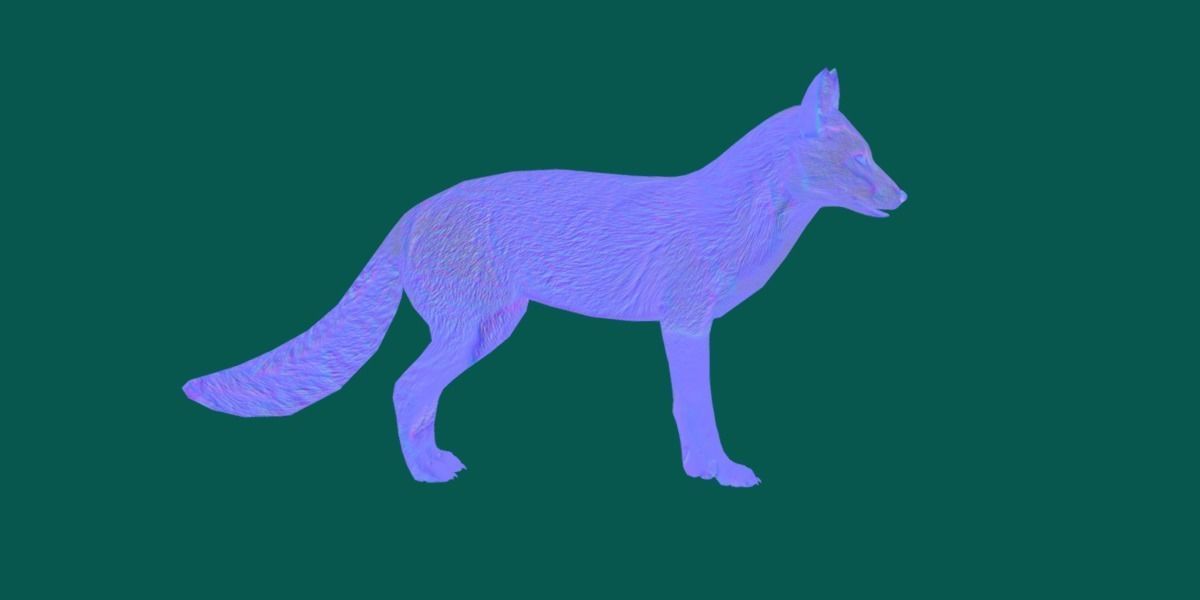 Red Fox Animals Low-poly 3D model_12