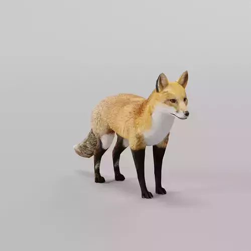 Red Fox Animals Low-poly 3D model