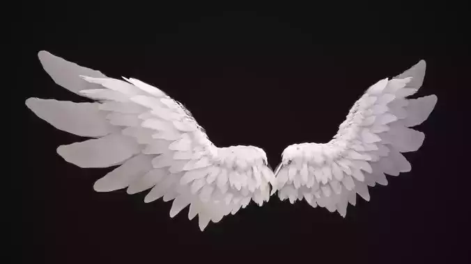 White Angel Wings - Animated - Rigged - Low-poly  Low-poly 3D model