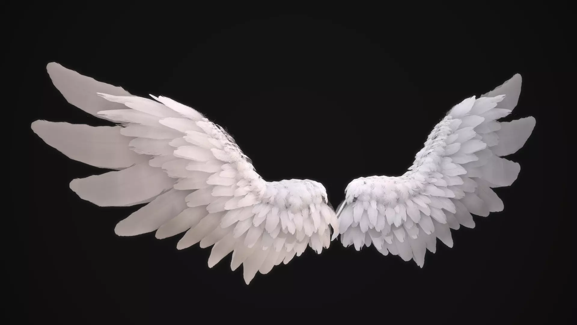 White Angel Wings - Animated - Rigged - Low-poly  Low-poly 3D model_0