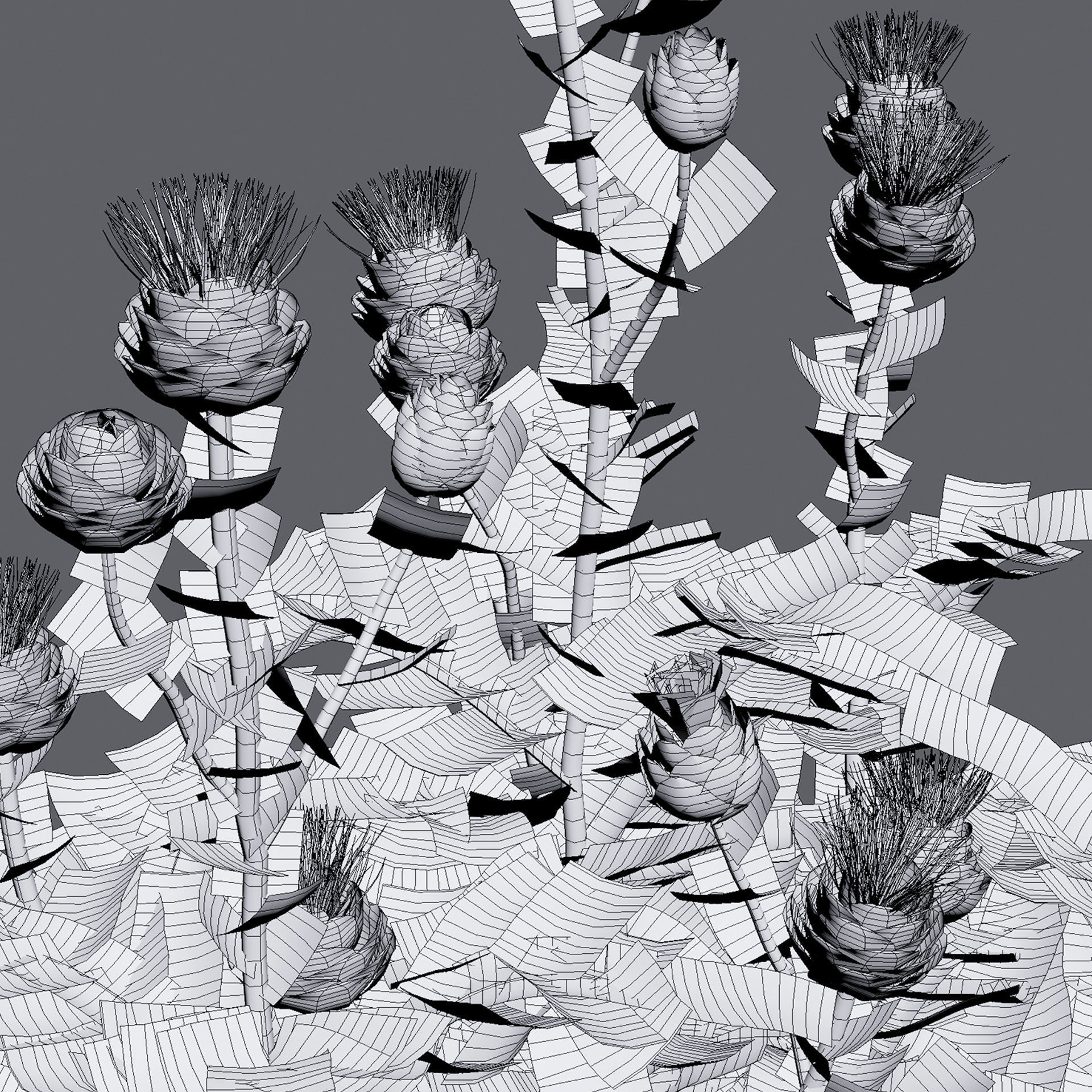 Cynara cardunculus - Artichoke - Cardoon 3D model_3