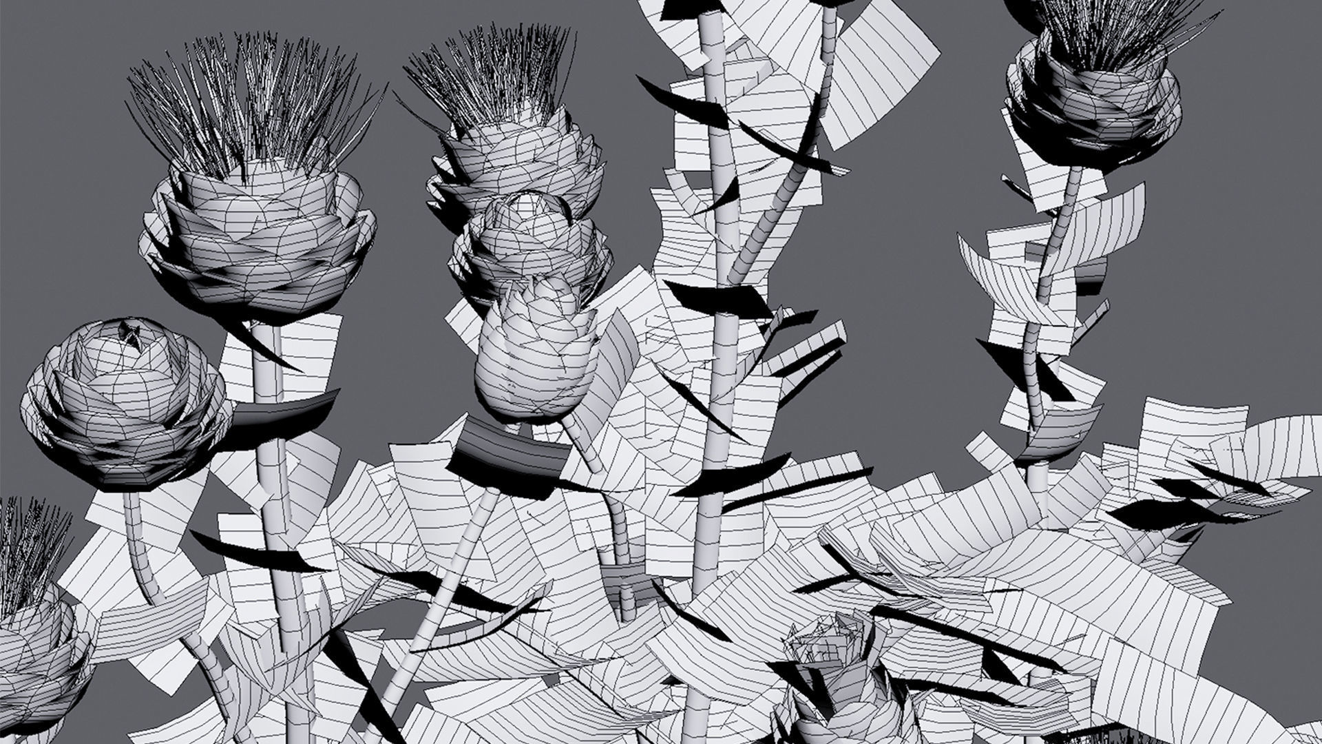 Cynara cardunculus - Artichoke - Cardoon 3D model_9