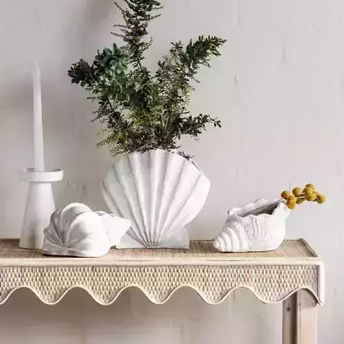 Seashell Vase