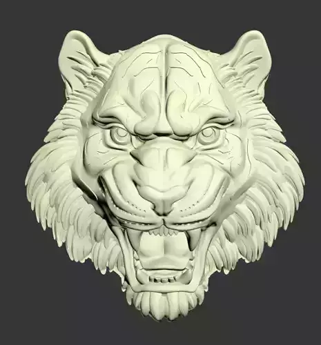 Tiger head