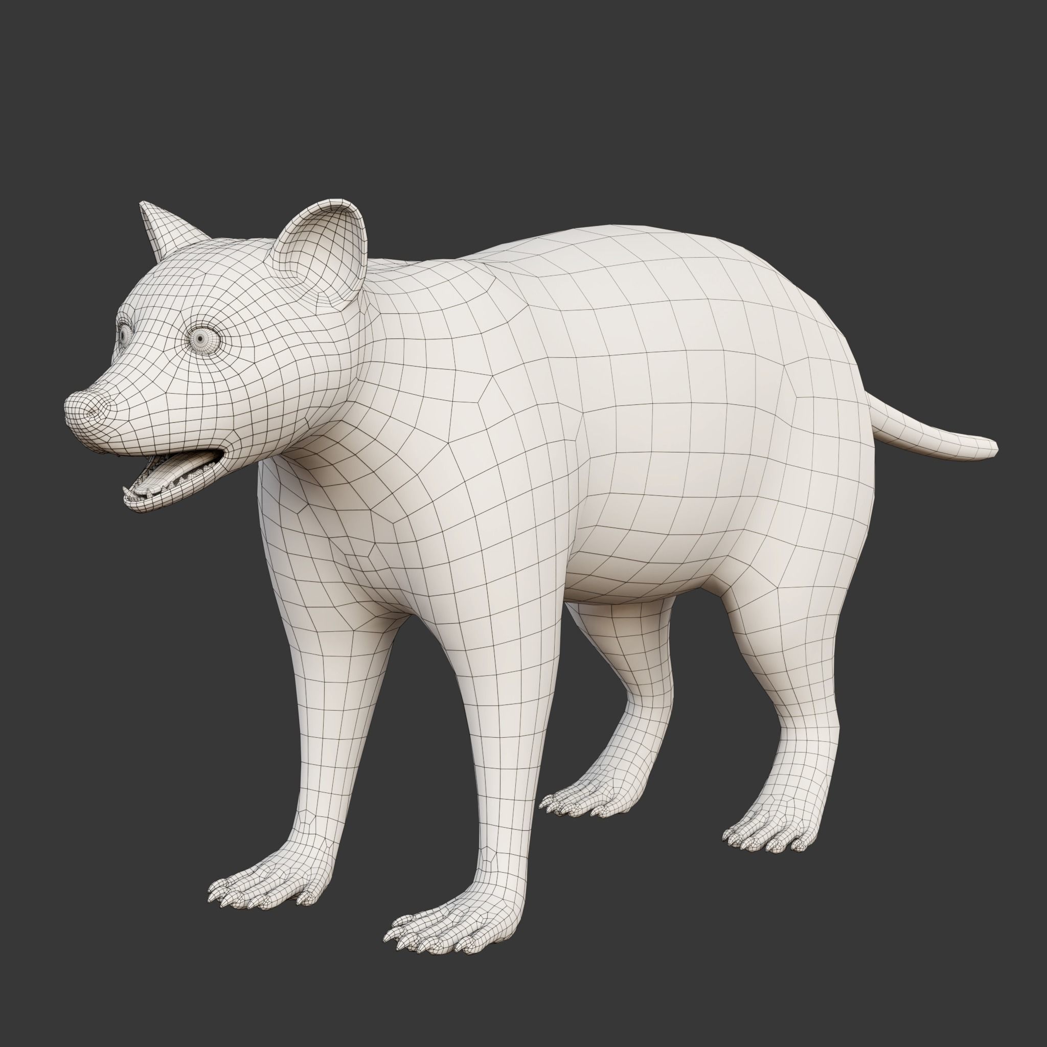 Raccoon Rigged Animated 3D model_18