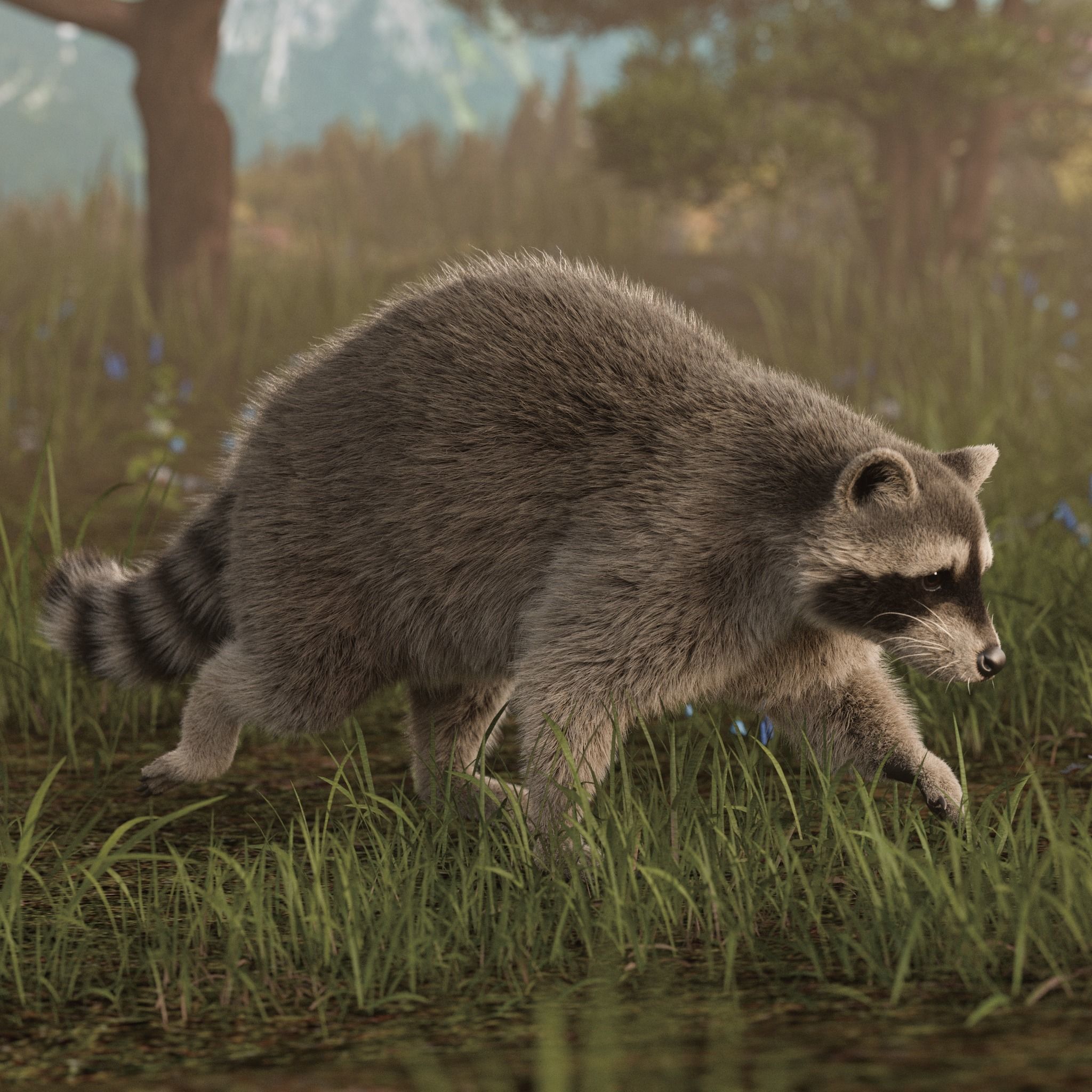 Raccoon Rigged Animated 3D model_5