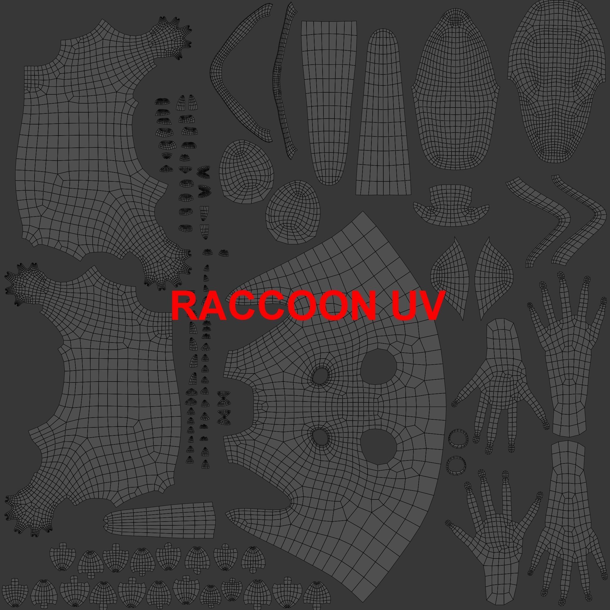 Raccoon Rigged Animated 3D model_22