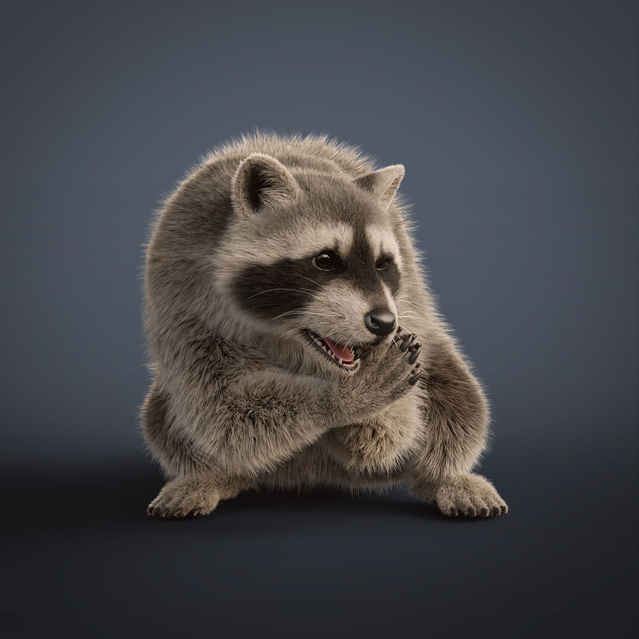 Raccoon Rigged Animated 3D model_14