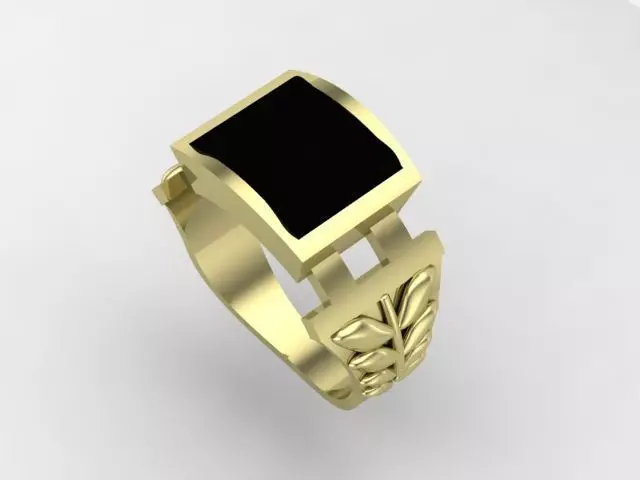 Rings 3D print model_0