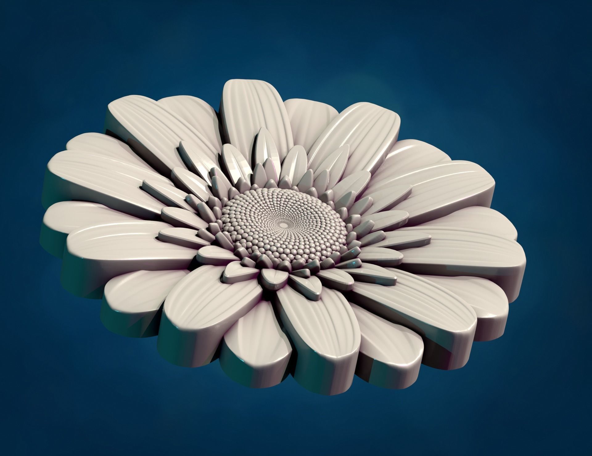 Daisy Gerbera Flower 3D print model_13