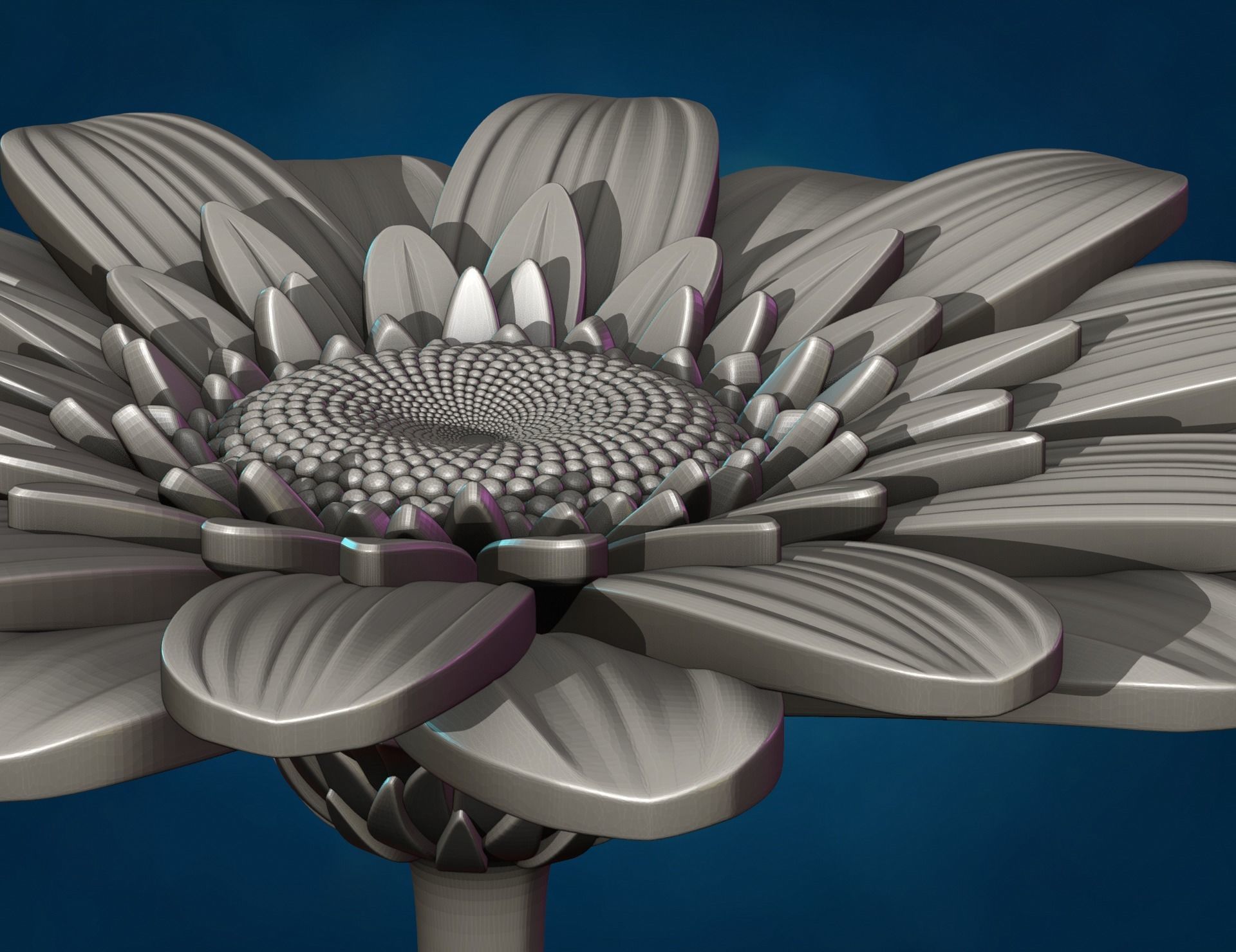 Daisy Gerbera Flower 3D print model_10