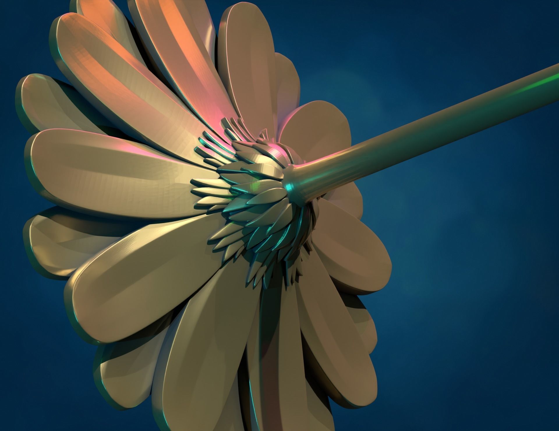Daisy Gerbera Flower 3D print model_5