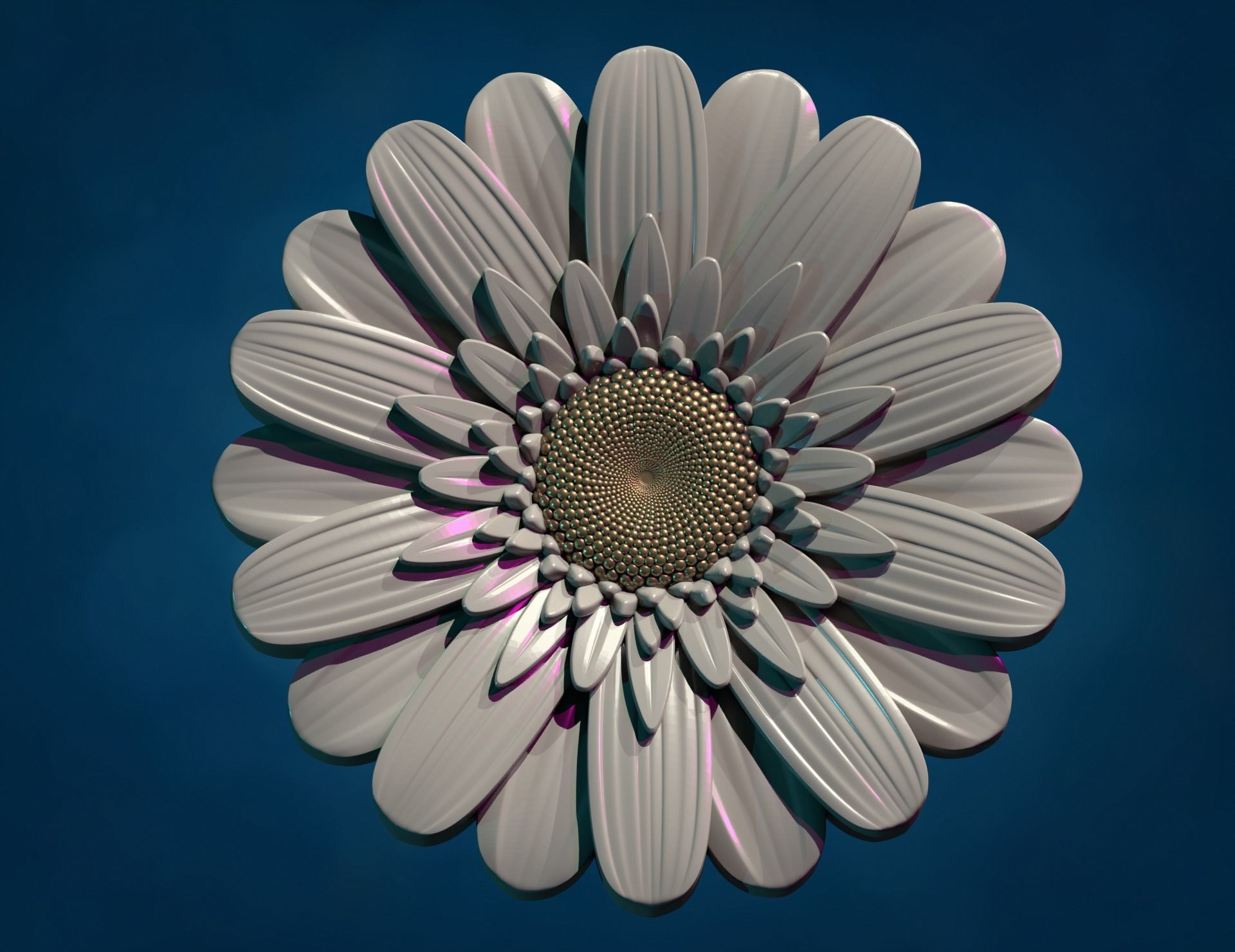 Daisy Gerbera Flower 3D print model_6