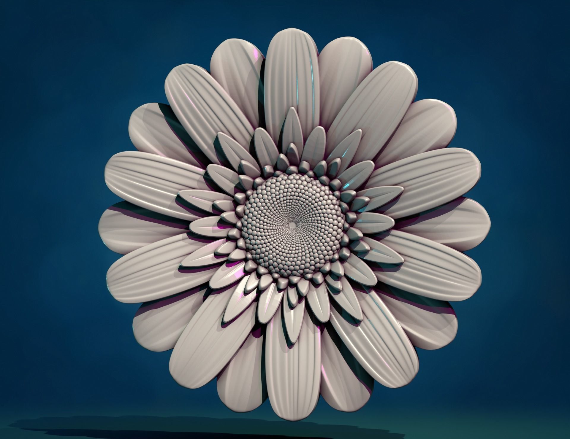 Daisy Gerbera Flower 3D print model_4