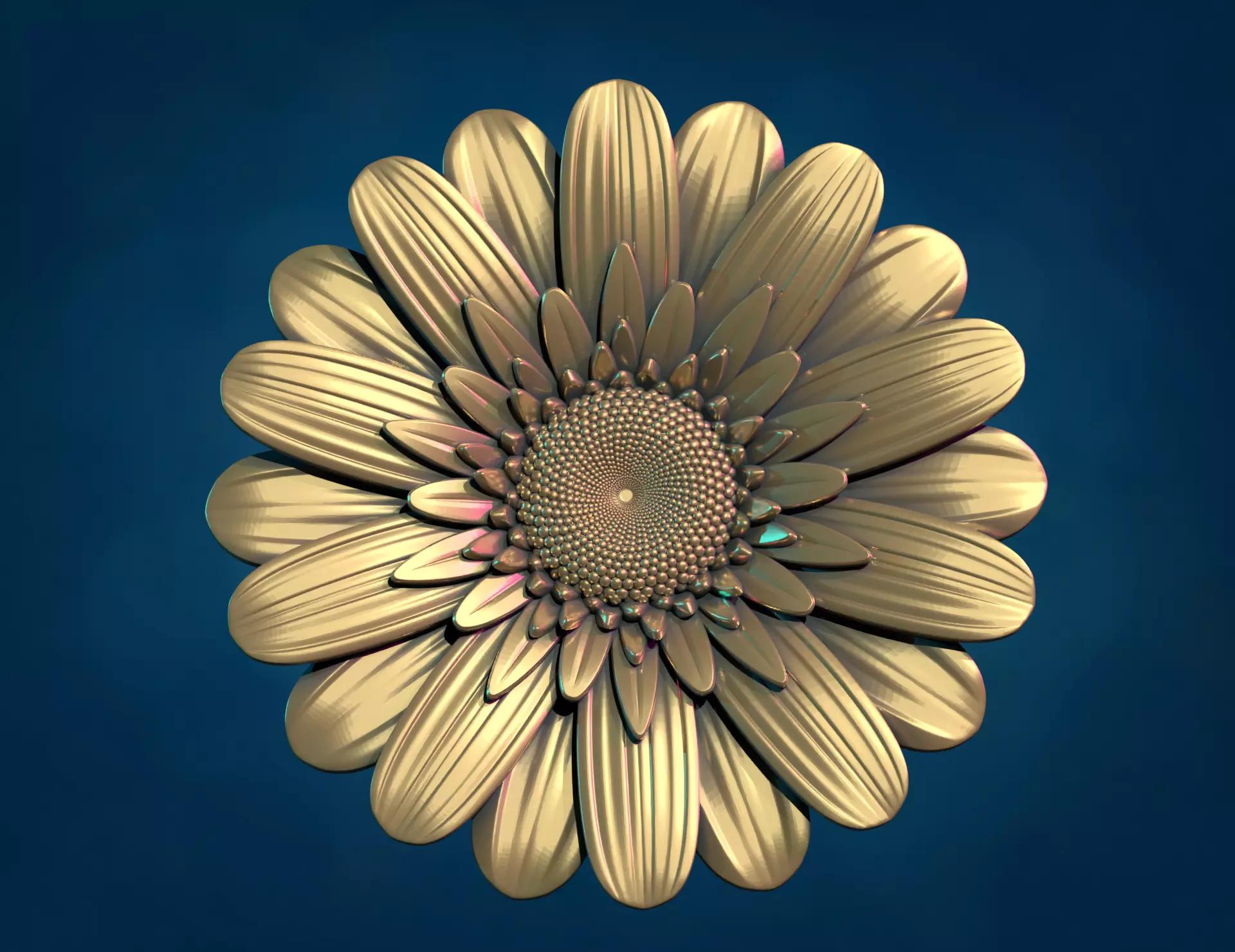 Daisy Gerbera Flower 3D print model_0