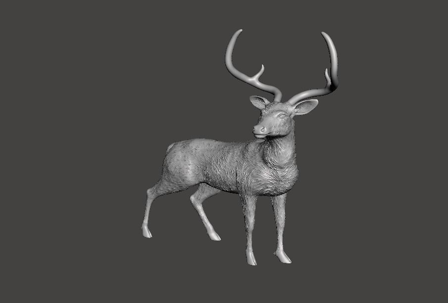 deer chinkara 3D print model_1