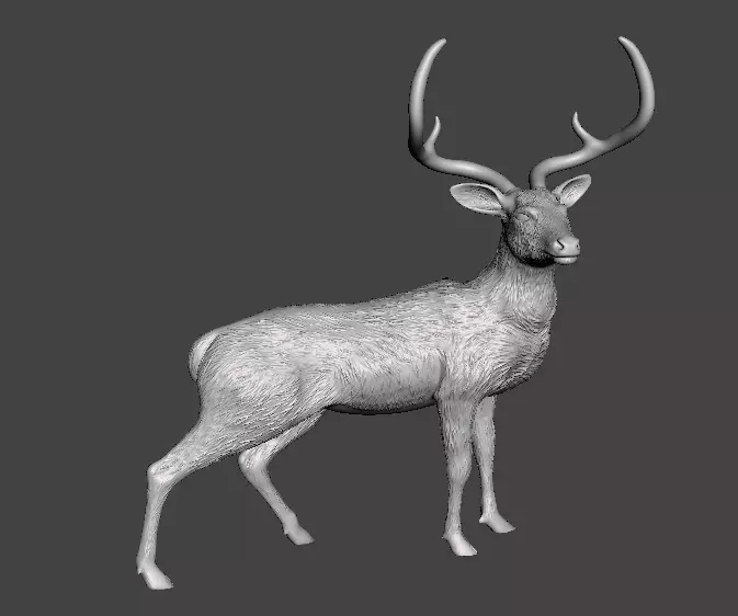 deer chinkara 3D print model_0