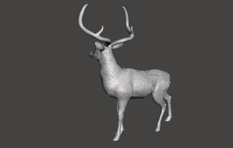 deer chinkara 3D print model_2