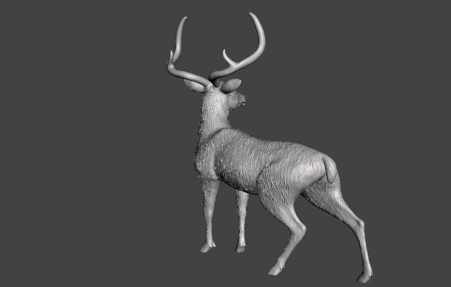 deer chinkara 3D print model_3