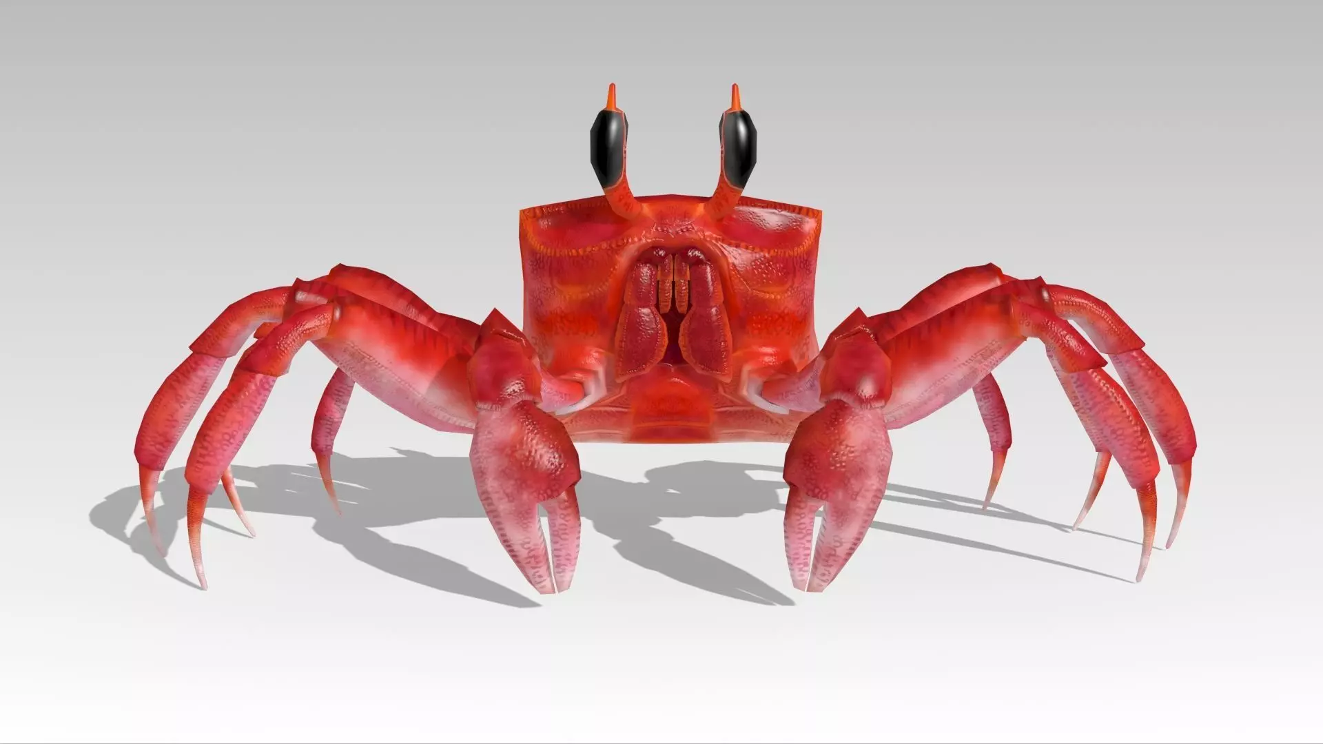 Crab Animated Low-poly 3D model