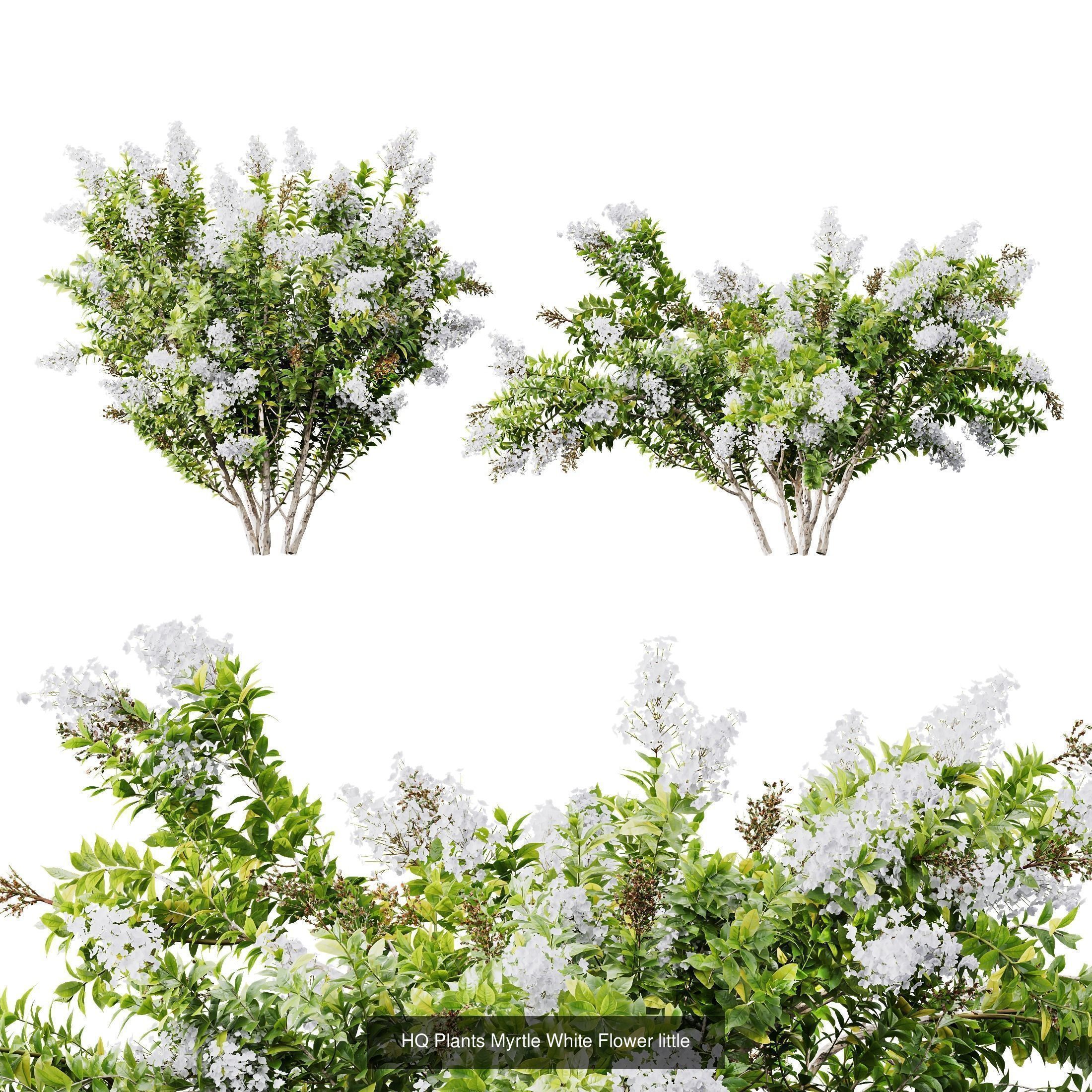  5 Different SETS of Bush SET VOL14 3D Model Collection_2
